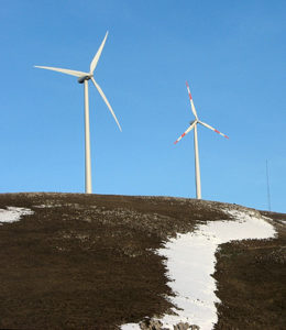 Threats: wind turbines - photo D.Valfrè