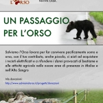 campagna_passaggio_orso