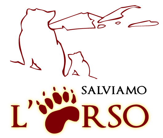 Salviamo l'Orso - logo trasparente