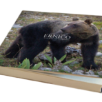 Libro – Ernico. Storia di un orso dell’Appennino