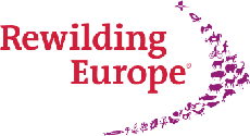 logo-rewilding