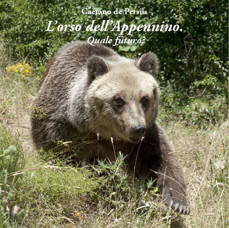 Copertina L'orso dell'Appennino