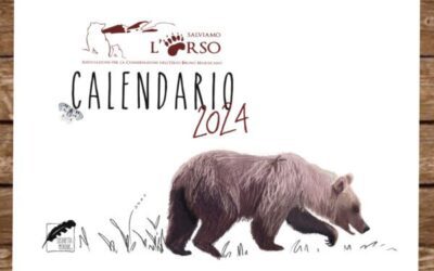 I Calendari 2024 sono SOLD OUT!