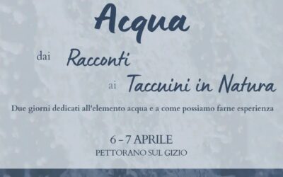 ACQUA: dai Racconti ai Taccuini in Natura
