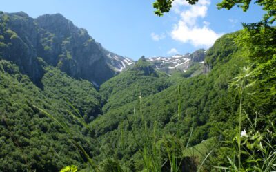 Matese National Park: a new opportunity for the local territory