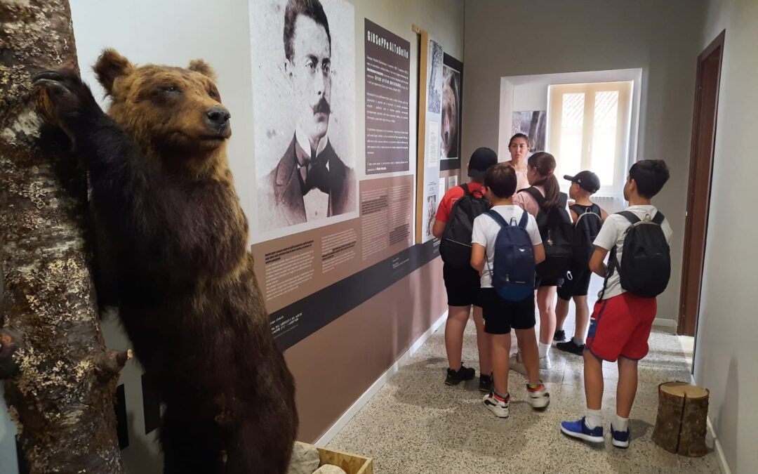 Bear Museum temporarily closed