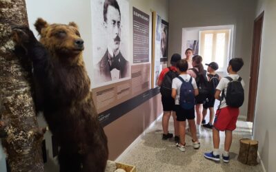 Chiuso temporaneamente il Museo dell’orso
