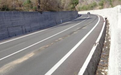 Protecting biodiversity and road safety: PNALM project approved