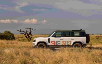 Save The Bear among Defender Awards finalists.