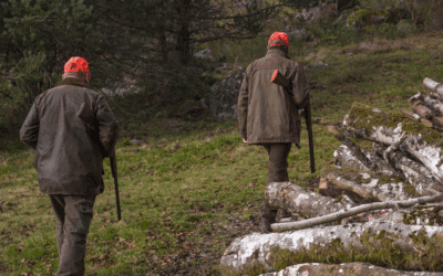 Riforma della caccia nella legge di bilancio: appello al Presidente Mattarella