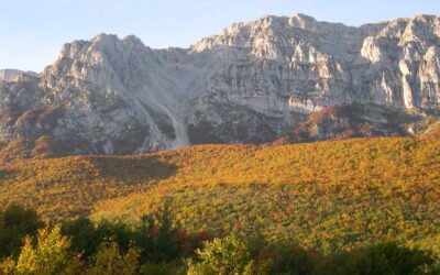 Maglio Skyrace is illegal: warning issued