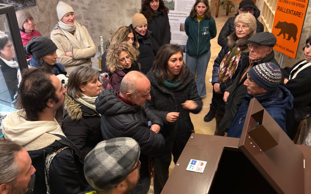 Nasce il Piccolo Museo dell’orso e della coesistenza