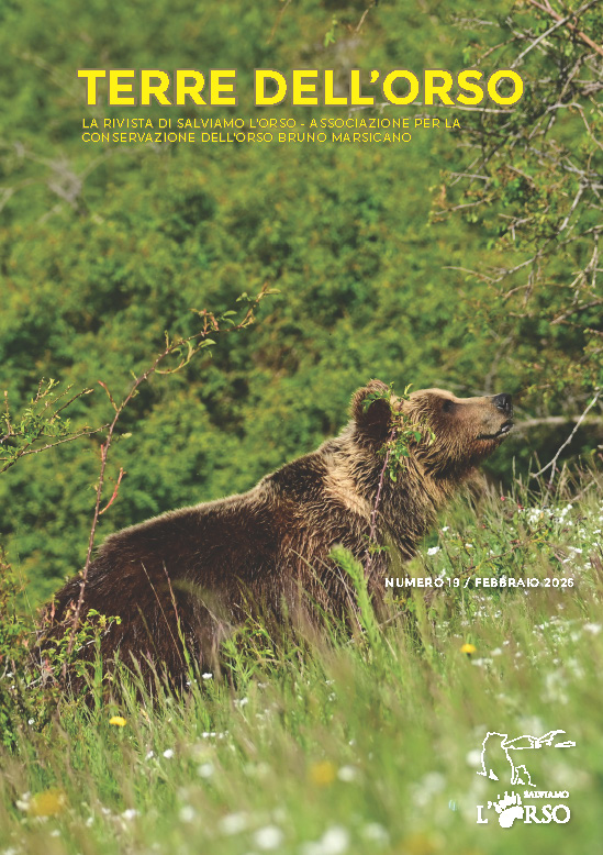 N. 19 - FEB2026_Pagina_001