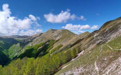 Pescosolido al voto: una scelta che riguarda il futuro del territorio e dell’orso marsicano