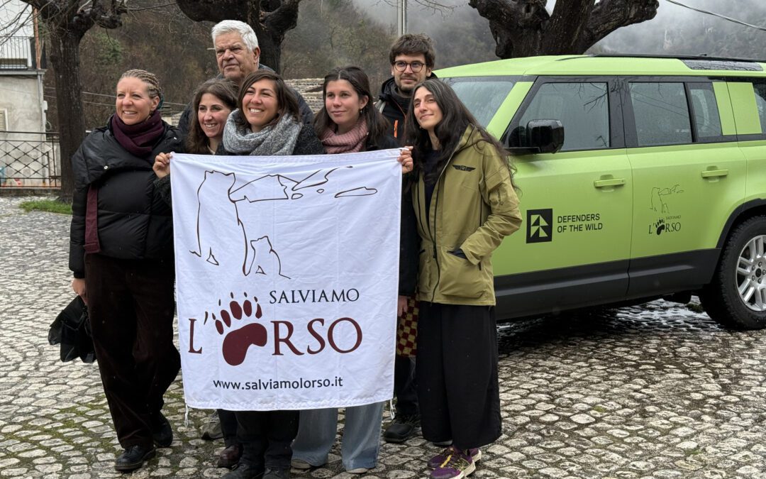 We won the defender award