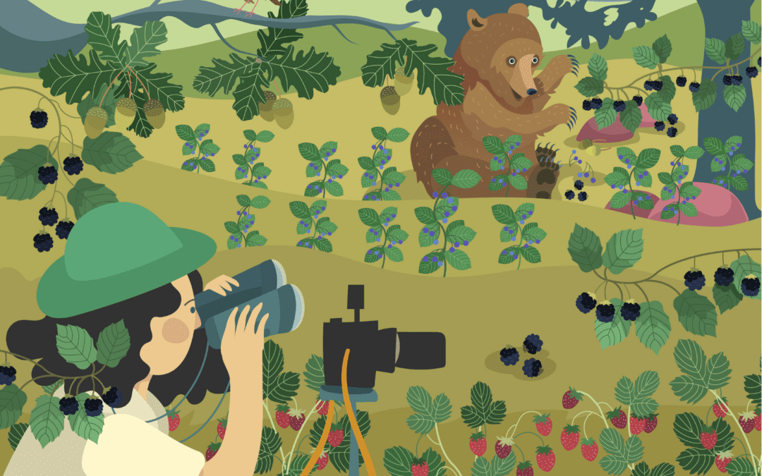 Servizio Civile Universale con Salviamo l’Orso: un anno per la natura e per l’orso marsicano