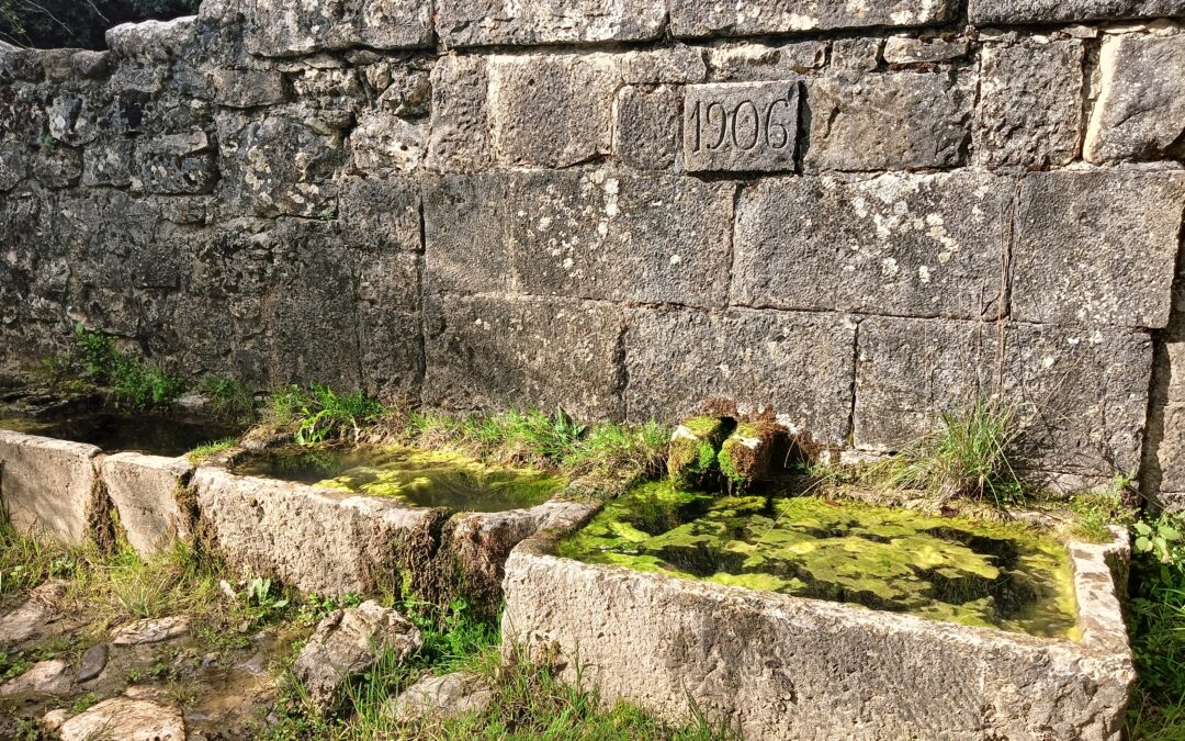 In Barrea, a historic fountain is brought back to life thanks to Salviamo l’Orso.