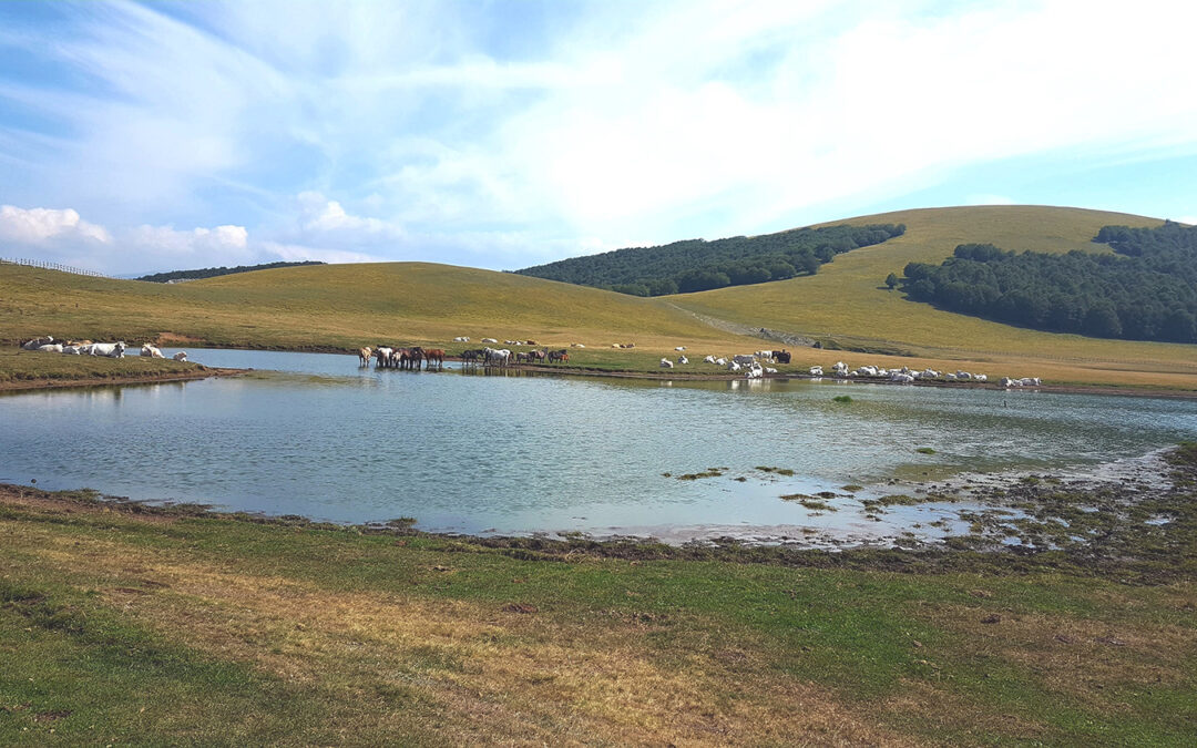 The Pantani of Accumoli Are Safe; the Commissioner Recognizes the Collective Ownership of the Land: The Mountain Shelter Project Is Halted