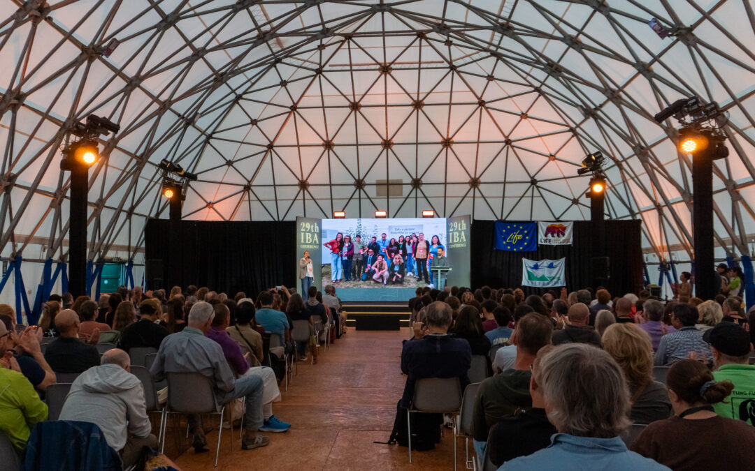 The LIFE Bear-Smart Corridors project comes to an end, but the journey towards Bear-Smart Communities continues.